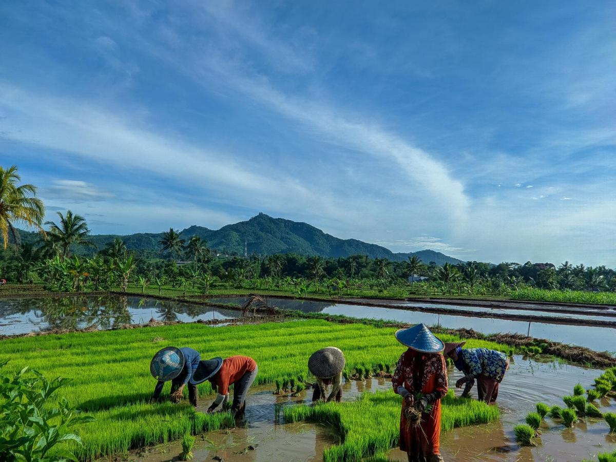 Farmstay Manangel Sindanglaka Eksteriør bilde
