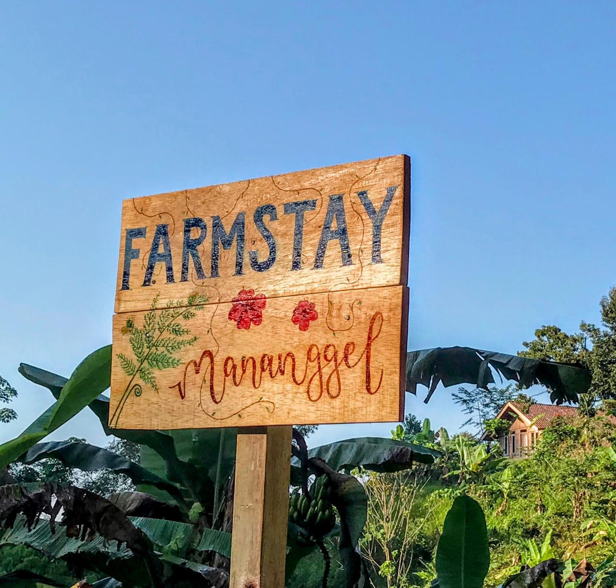 Farmstay Manangel Sindanglaka Eksteriør bilde